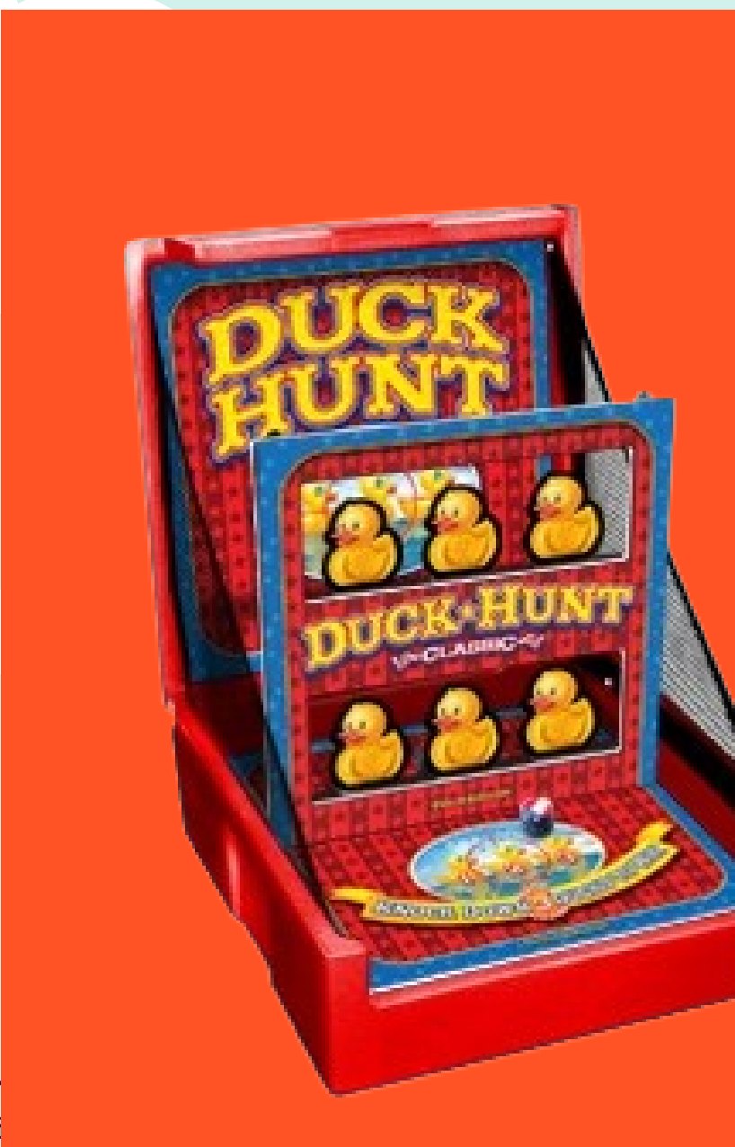 Duck Hunt