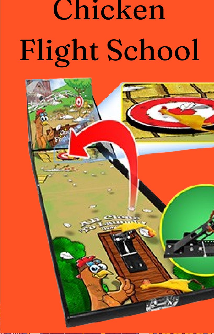 Chicken Flight School